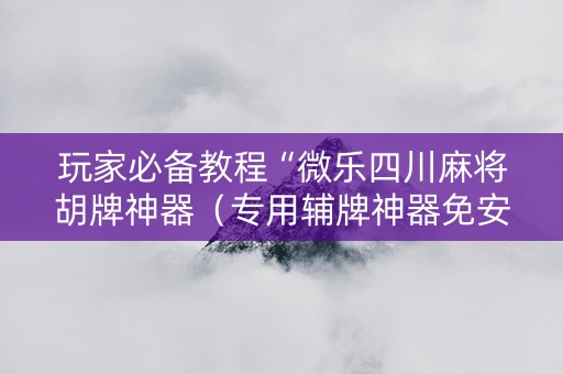 玩家必备教程“微乐四川麻将胡牌神器（专用辅牌神器免安装）