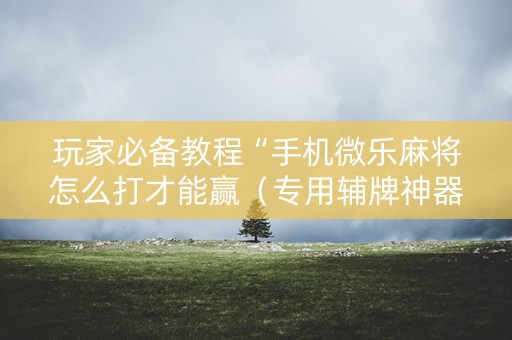 玩家必备教程“手机微乐麻将怎么打才能赢（专用辅牌神器免安装）