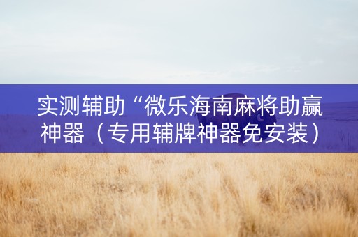实测辅助“微乐海南麻将助赢神器（专用辅牌神器免安装）
