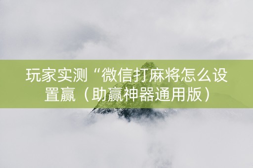 玩家实测“微信打麻将怎么设置赢（助赢神器通用版）