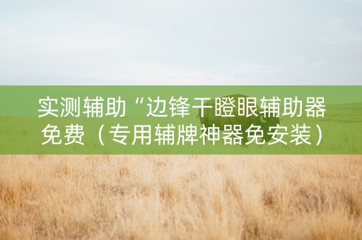 实测辅助“边锋干瞪眼辅助器免费（专用辅牌神器免安装）