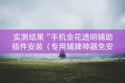 实测结果“手机金花透明辅助插件安装（专用辅牌神器免安装）