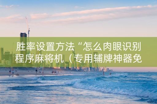 胜率设置方法“怎么肉眼识别程序麻将机（专用辅牌神器免安装）