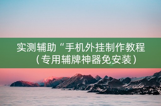 实测辅助“手机外挂制作教程（专用辅牌神器免安装）