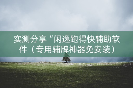 实测分享“闲逸跑得快辅助软件（专用辅牌神器免安装）