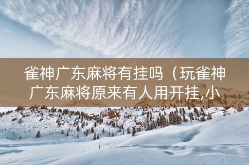 雀神广东麻将有挂吗（玩雀神广东麻将原来有人用开挂,小心有炸!）