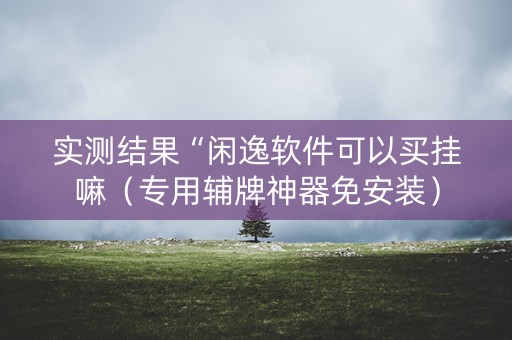 实测结果“闲逸软件可以买挂嘛（专用辅牌神器免安装）