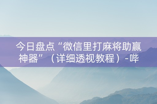 今日盘点“微信里打麻将助赢神器”（详细透视教程）-哔哩哔哩