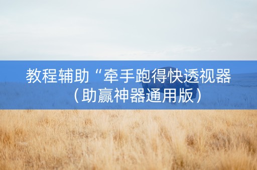 教程辅助“牵手跑得快透视器（助赢神器通用版）