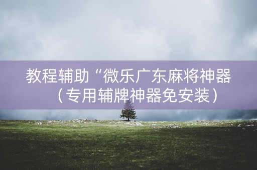 教程辅助“微乐广东麻将神器（专用辅牌神器免安装）