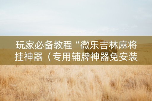 玩家必备教程“微乐吉林麻将挂神器（专用辅牌神器免安装）