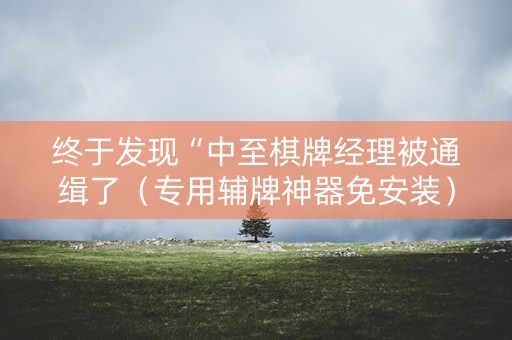 终于发现“中至棋牌经理被通缉了（专用辅牌神器免安装）