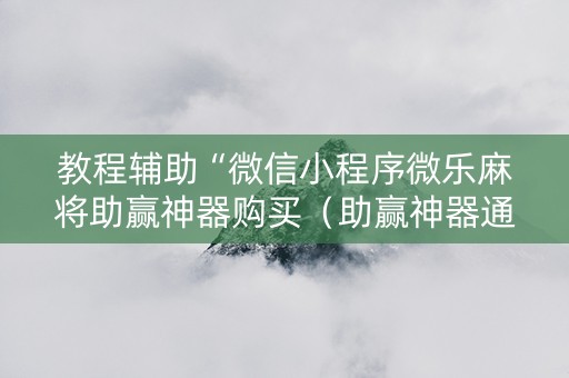 教程辅助“微信小程序微乐麻将助赢神器购买（助赢神器通用版）