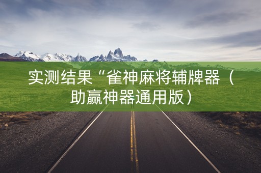 实测结果“雀神麻将辅牌器（助赢神器通用版）