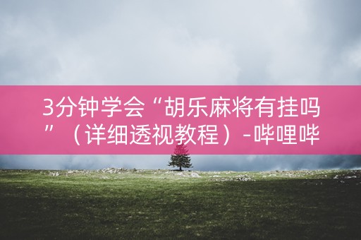 3分钟学会“胡乐麻将有挂吗”（详细透视教程）-哔哩哔哩