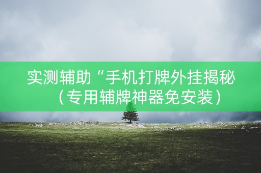 实测辅助“手机打牌外挂揭秘（专用辅牌神器免安装）