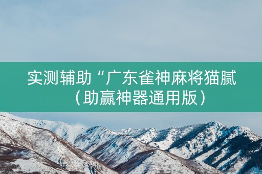 实测辅助“广东雀神麻将猫腻（助赢神器通用版）