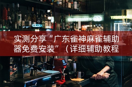 实测分享“广东雀神麻雀辅助器免费安装”（详细辅助教程）-哔哩哔哩