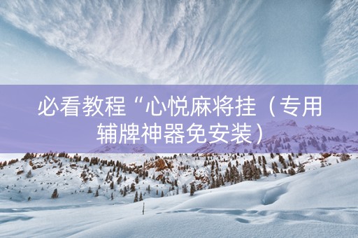 必看教程“心悦麻将挂（专用辅牌神器免安装）