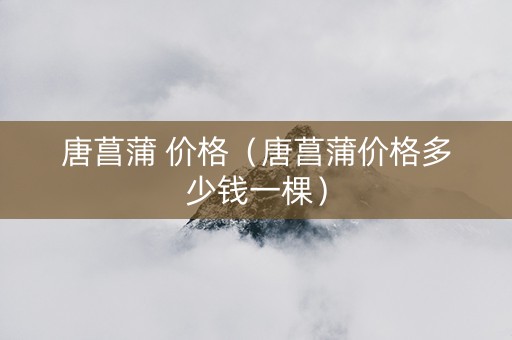 唐菖蒲 价格（唐菖蒲价格多少钱一棵）