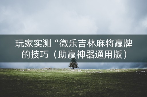玩家实测“微乐吉林麻将赢牌的技巧（助赢神器通用版）