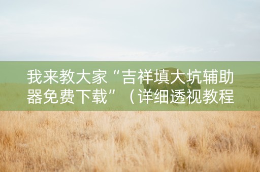 我来教大家“吉祥填大坑辅助器免费下载”（详细透视教程）-哔哩哔哩