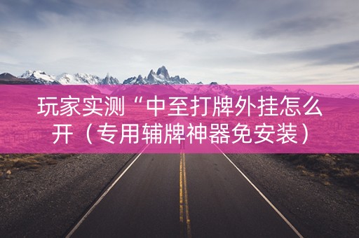 玩家实测“中至打牌外挂怎么开（专用辅牌神器免安装）