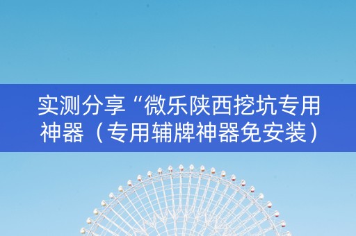 实测分享“微乐陕西挖坑专用神器（专用辅牌神器免安装）