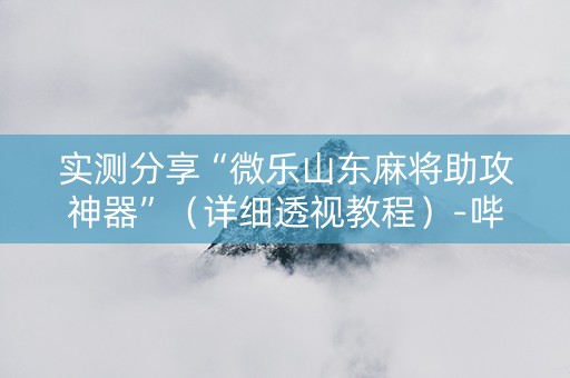 实测分享“微乐山东麻将助攻神器”（详细透视教程）-哔哩哔哩