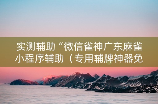 实测辅助“微信雀神广东麻雀小程序辅助（专用辅牌神器免安装）