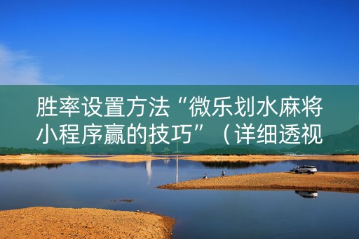 胜率设置方法“微乐划水麻将小程序赢的技巧”（详细透视教程）-哔哩哔哩