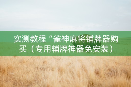 实测教程“雀神麻将铺牌器购买（专用辅牌神器免安装）