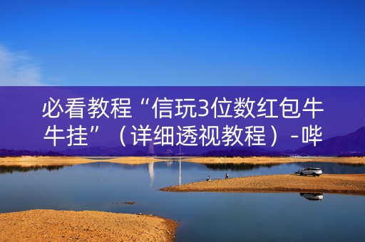 必看教程“信玩3位数红包牛牛挂”（详细透视教程）-哔哩哔哩