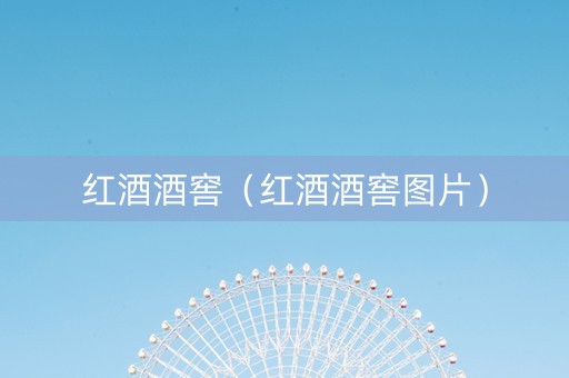 红酒酒窖（红酒酒窖图片）