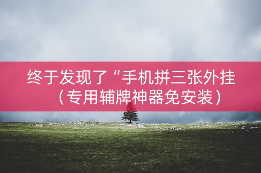 终于发现了“手机拼三张外挂（专用辅牌神器免安装）