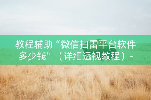 教程辅助“微信扫雷平台软件多少钱”（详细透视教程）-哔哩哔哩