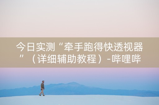 今日实测“牵手跑得快透视器”（详细辅助教程）-哔哩哔哩