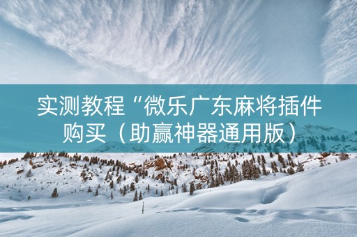 实测教程“微乐广东麻将插件购买（助赢神器通用版）