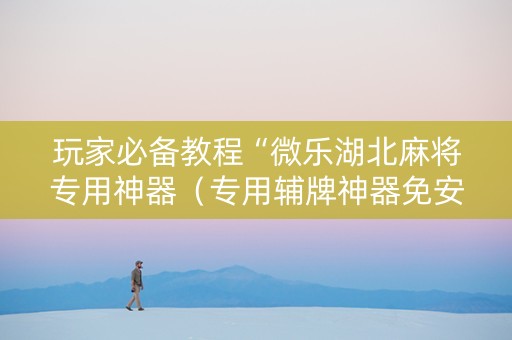 玩家必备教程“微乐湖北麻将专用神器（专用辅牌神器免安装）