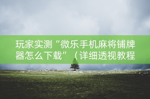玩家实测“微乐手机麻将铺牌器怎么下载”（详细透视教程）-哔哩哔哩