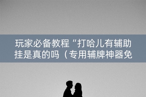 玩家必备教程“打哈儿有辅助挂是真的吗（专用辅牌神器免安装）