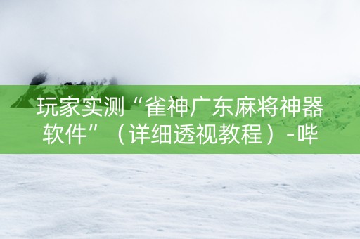 玩家实测“雀神广东麻将神器软件”（详细透视教程）-哔哩哔哩
