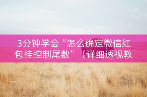 3分钟学会“怎么确定微信红包挂控制尾数”（详细透视教程）-哔哩哔哩