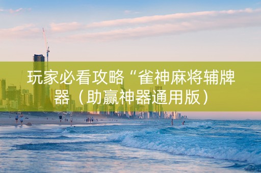 玩家必看攻略“雀神麻将辅牌器（助赢神器通用版）