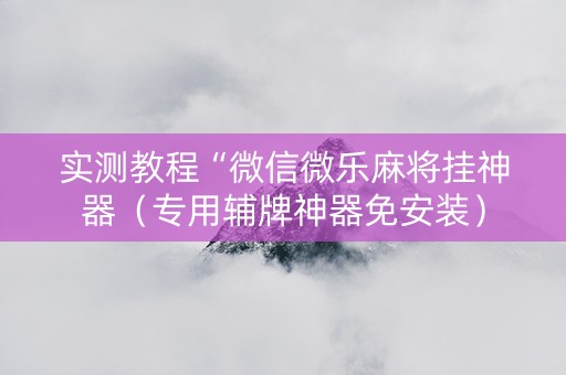 实测教程“微信微乐麻将挂神器（专用辅牌神器免安装）