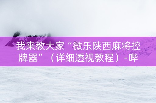 我来教大家“微乐陕西麻将控牌器”（详细透视教程）-哔哩哔哩