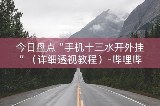 今日盘点“手机十三水开外挂”（详细透视教程）-哔哩哔哩