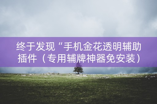 终于发现“手机金花透明辅助插件（专用辅牌神器免安装）