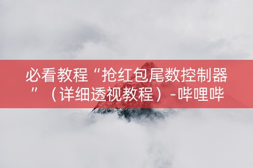 必看教程“抢红包尾数控制器”（详细透视教程）-哔哩哔哩