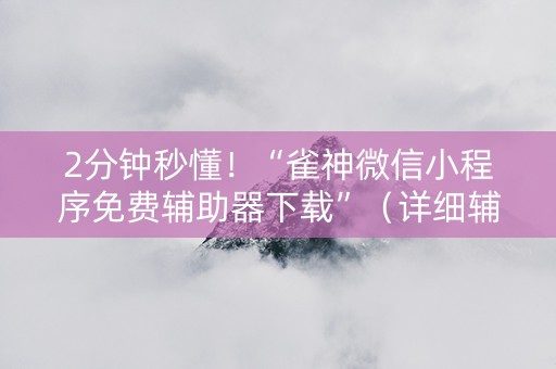 2分钟秒懂！“雀神微信小程序免费辅助器下载”（详细辅助教程）-哔哩哔哩
